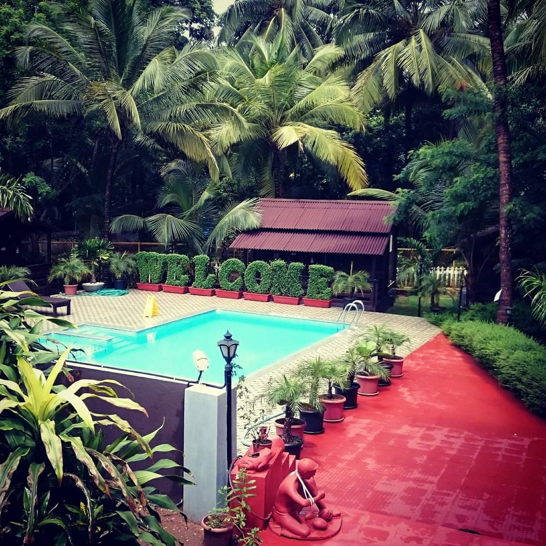 Aerial view of swimming pool
